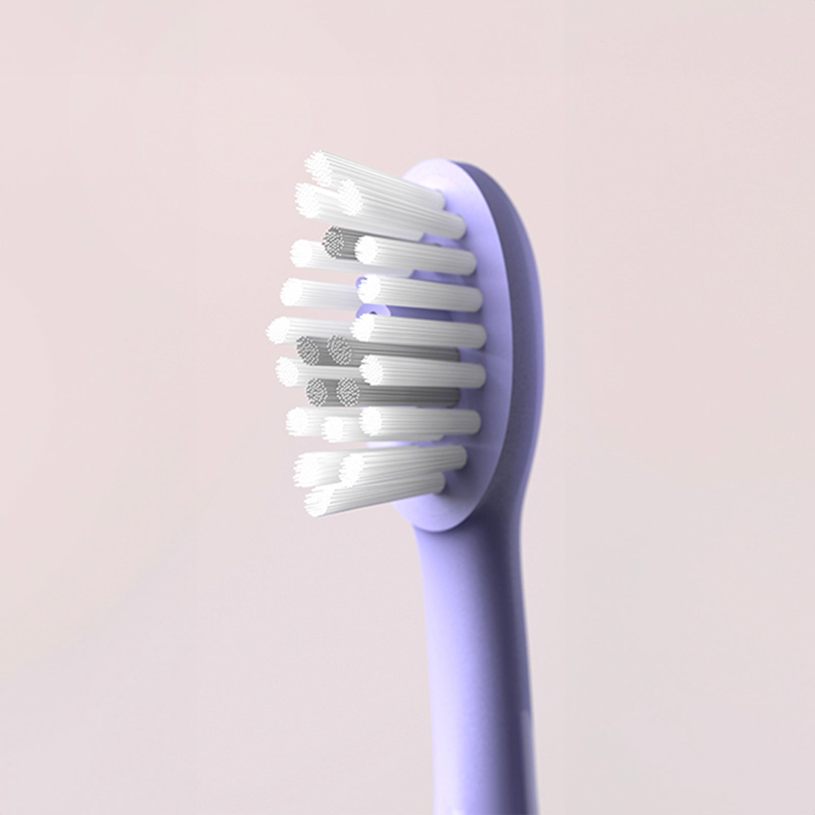 Sonic Brush Head Pearl Violet | Lavender 2x