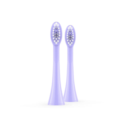 Sonic Brush Head Pearl Violet | Lavender 2x